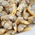 China Fresh frozen mussel meat Manufactory